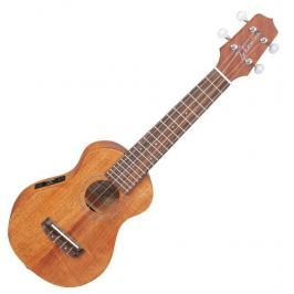 Takamine EGU-S1
