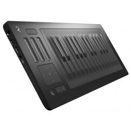Roli Seaboard Rise 25