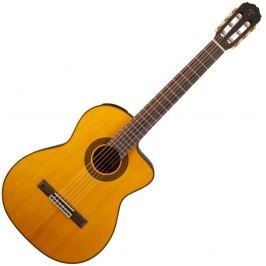 Takamine GC5CE-NAT