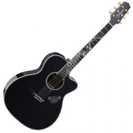 Takamine LTD 2017 Magome
