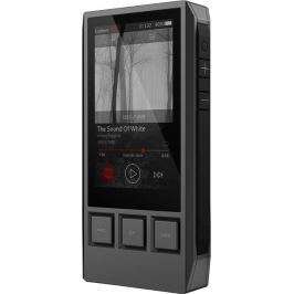 iBasso DX80