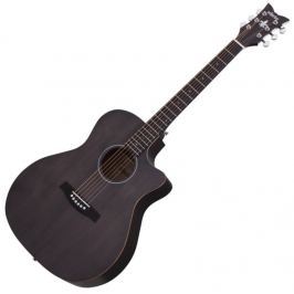 Schecter Deluxe Acoustic Satin See Thru Black