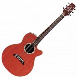 Takamine EF261SAN