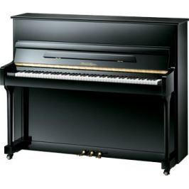 Pearl River UP118M Ebony